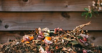 Wie kompostiert man im eigenen Garten?